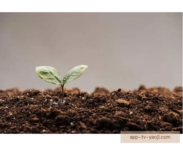 98堂：革新不止，重塑未来——一场关于学习与成长的深刻蜕变